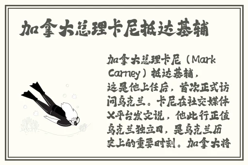 久久精品国产久精国产思思